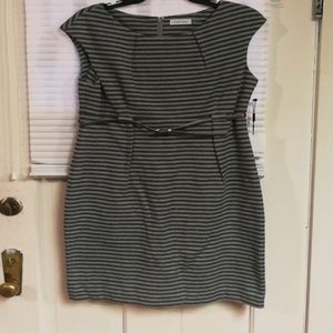 Gray stripe Calvin Klein size 12 dress